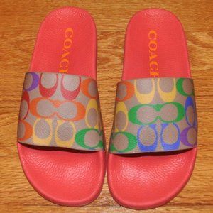 Coach pool slides